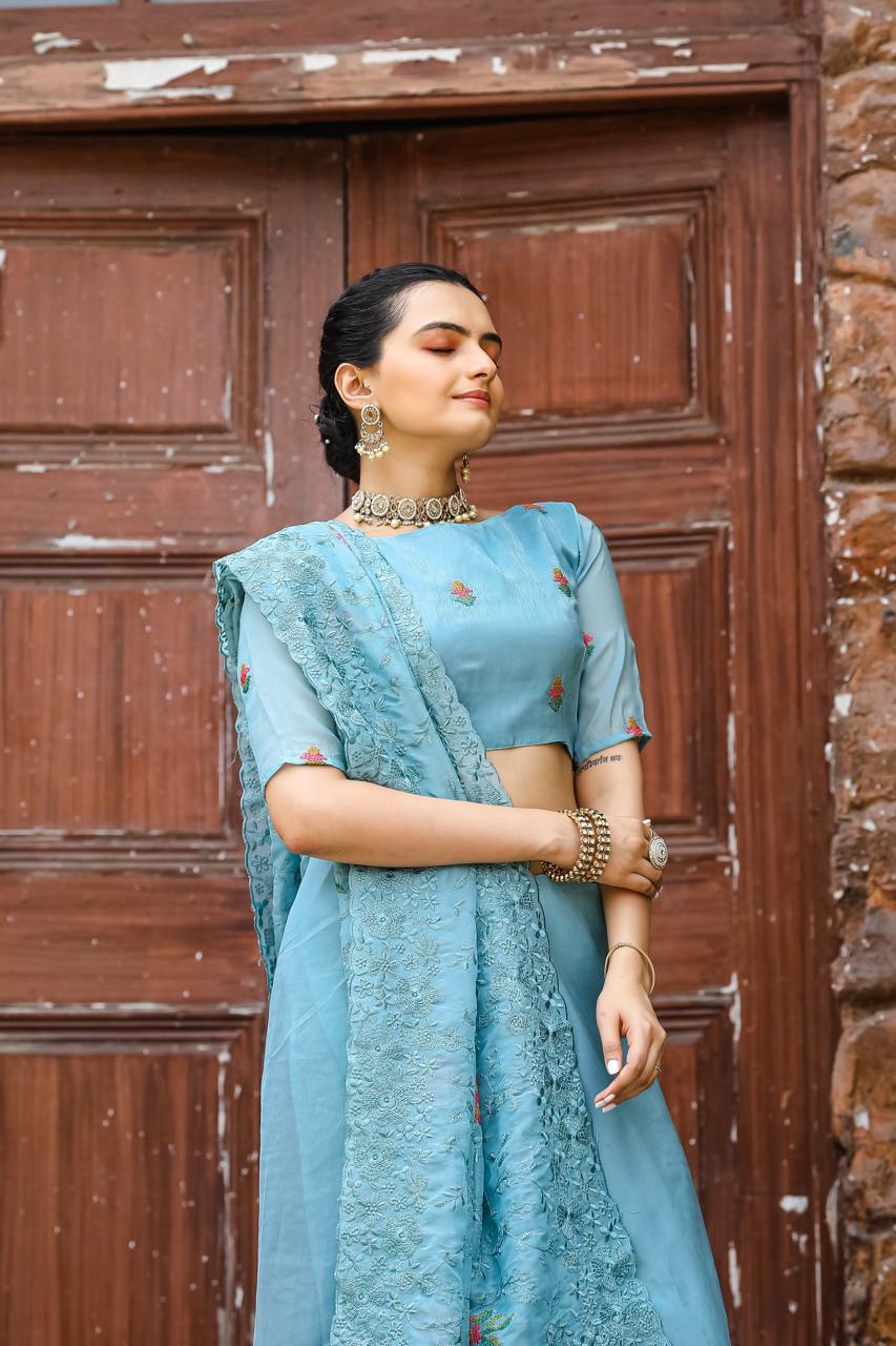 Pure Shiny Zari Chiffon Saree With Beautiful Work