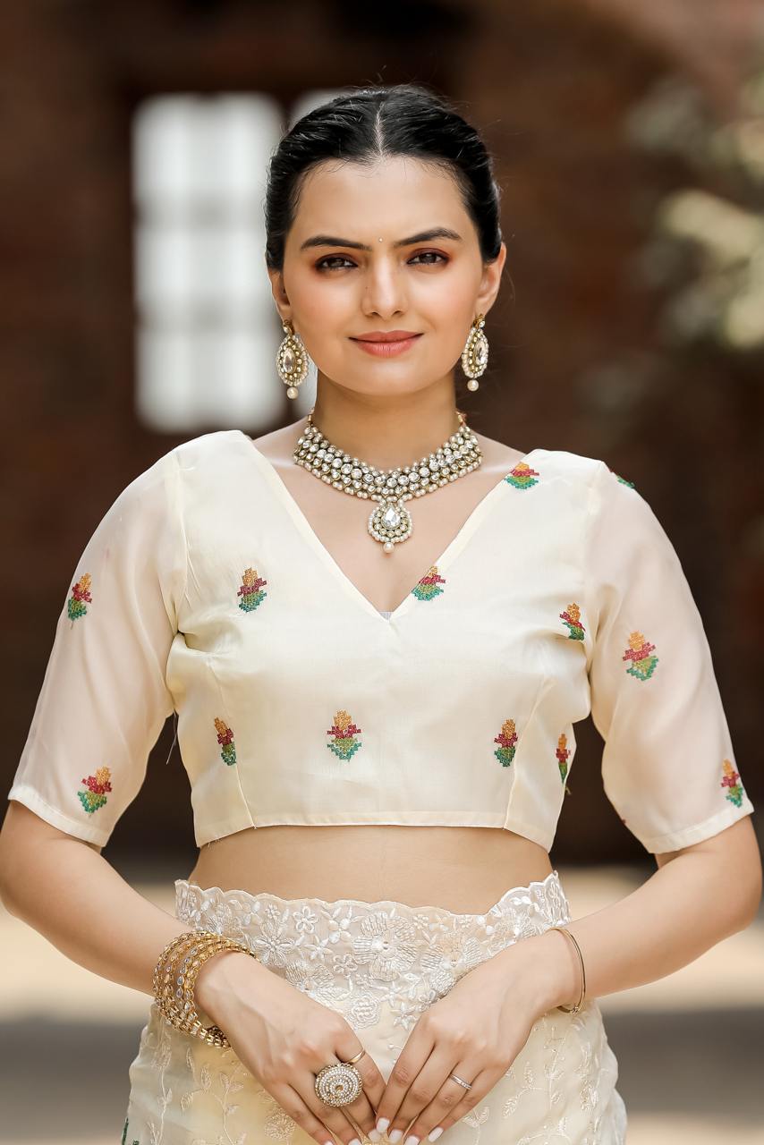 Pure Shiny Zari Chiffon Saree With Beautiful Work